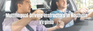 Multilingual Driving Instructors